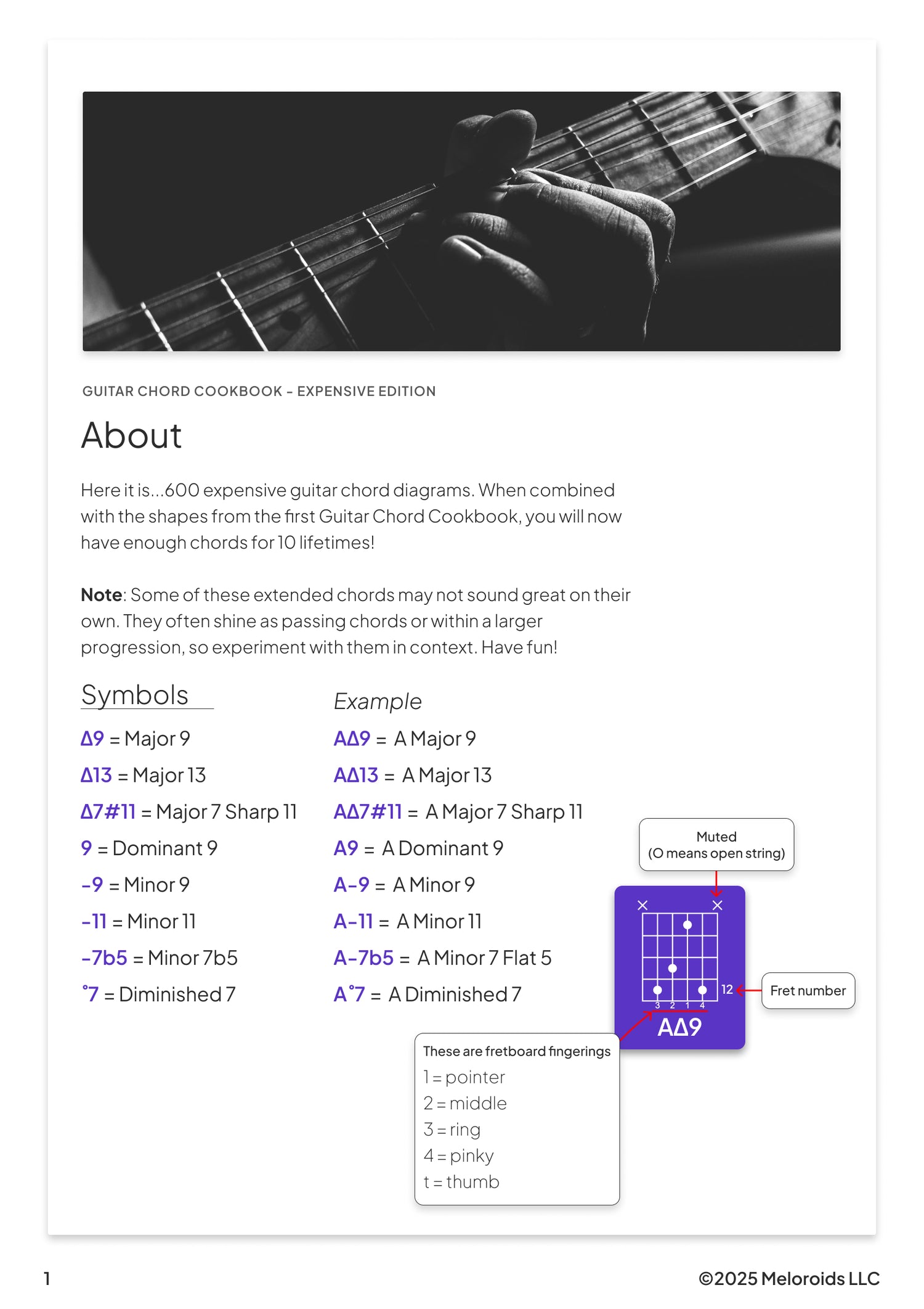 Guitar Chord Cookbook - Expensive Edition